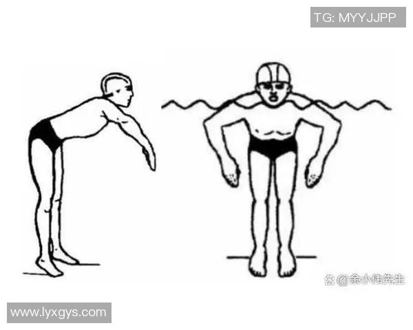 蛙泳技巧提升与练习方法全面解析从入门到进阶的系统训练方案