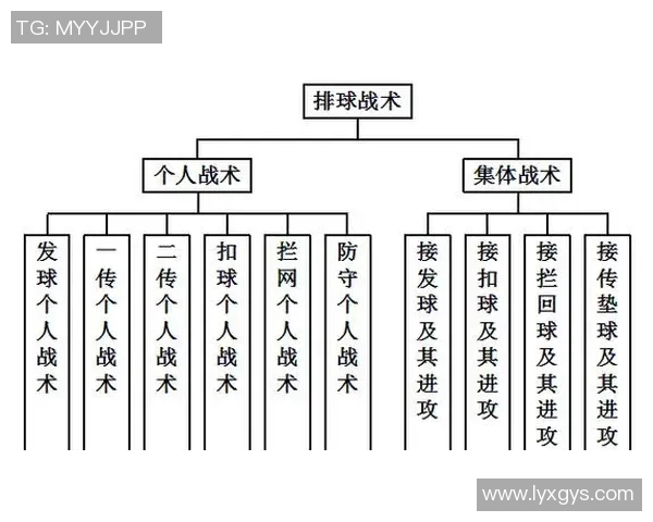 北京排球队灵活性分析与战术适应性研究探讨